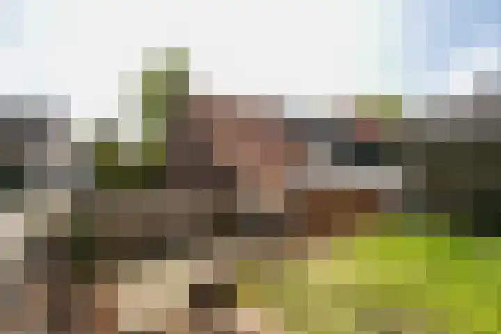 Arnoldus Janssenstraat 58 Steyl thumbnail 27