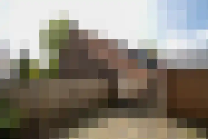 Arnoldus Janssenstraat 58 Steyl thumbnail 29