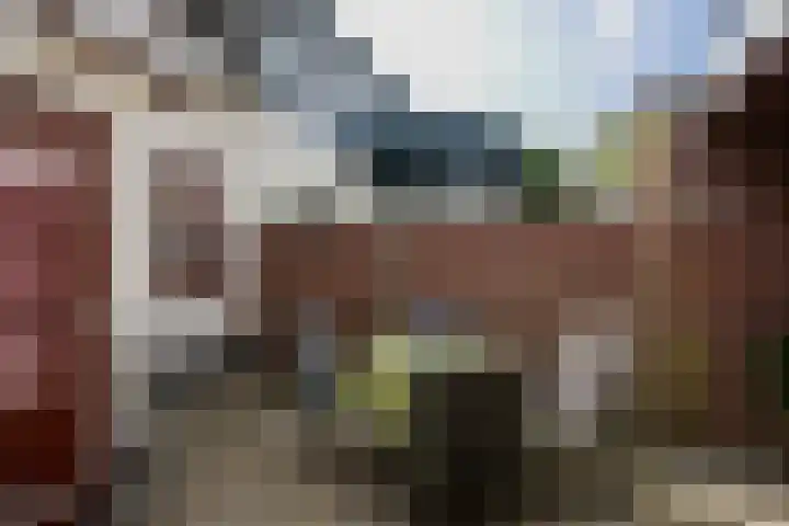 Arnoldus Janssenstraat 58 Steyl thumbnail 31