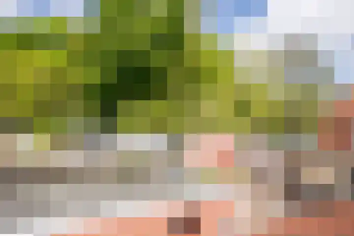 Arnoldus Janssenstraat 58 Steyl thumbnail 33