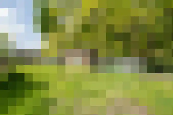 Arnoldus Janssenstraat 58 Steyl thumbnail 35