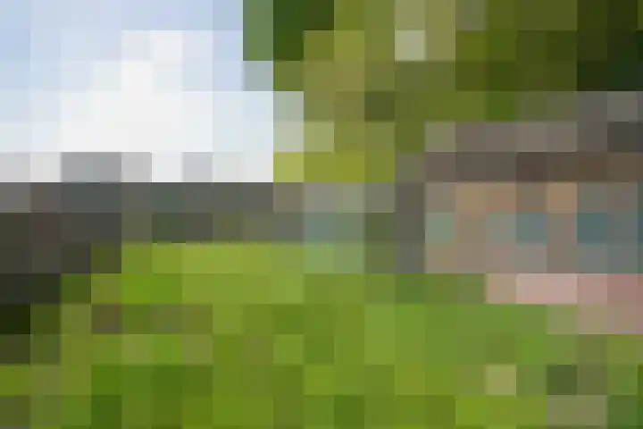Arnoldus Janssenstraat 58 Steyl thumbnail 36