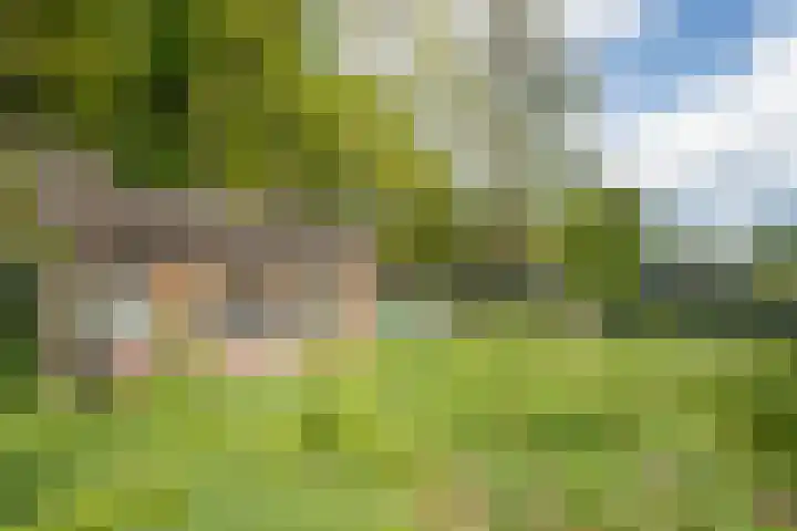 Arnoldus Janssenstraat 58 Steyl thumbnail 37