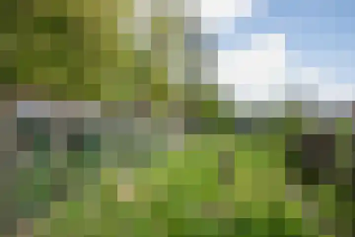 Arnoldus Janssenstraat 58 Steyl thumbnail 38