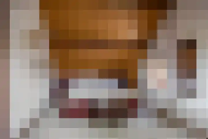 Arnoldus Janssenstraat 58 Steyl thumbnail 4
