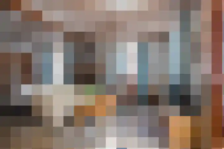 Arnoldus Janssenstraat 58 Steyl thumbnail 7