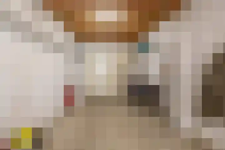 Arnoldus Janssenstraat 8 Steyl thumbnail 10