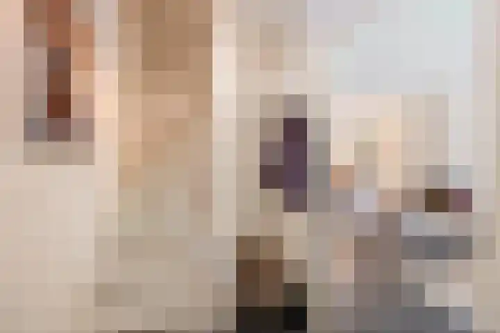 Arnoldus Janssenstraat 8 Steyl thumbnail 12
