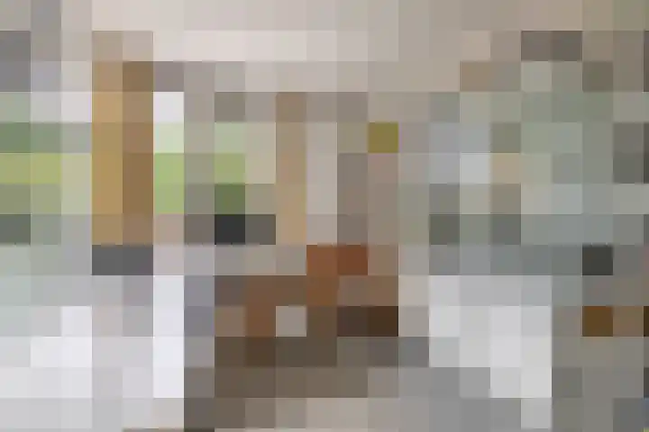 Arnoldus Janssenstraat 8 Steyl thumbnail 16