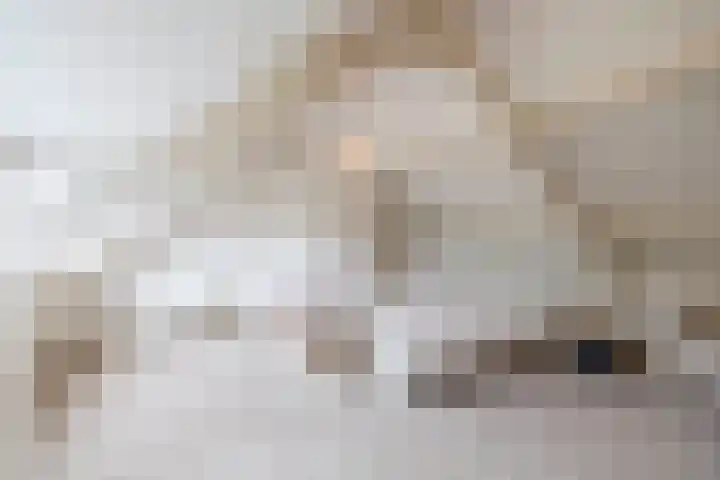 Arnoldus Janssenstraat 8 Steyl thumbnail 20