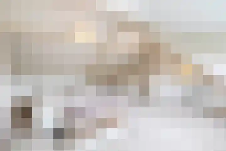 Arnoldus Janssenstraat 8 Steyl thumbnail 21