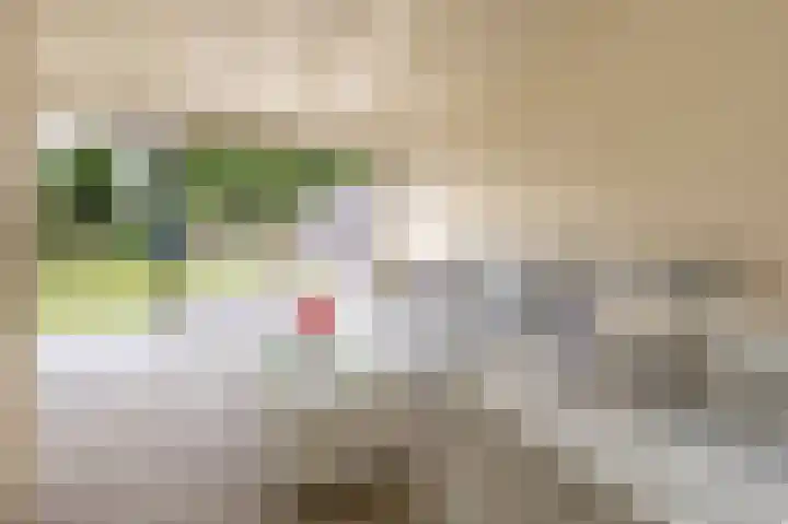 Arnoldus Janssenstraat 8 Steyl thumbnail 23