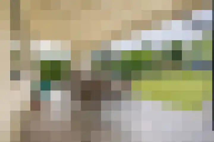 Arnoldus Janssenstraat 8 Steyl thumbnail 24