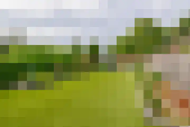 Arnoldus Janssenstraat 8 Steyl thumbnail 26