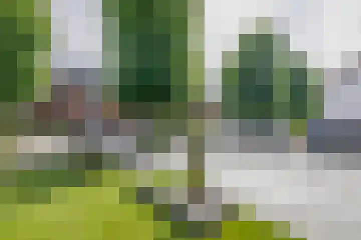 Arnoldus Janssenstraat 8 Steyl thumbnail 31