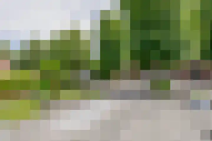 Arnoldus Janssenstraat 8 Steyl thumbnail 32