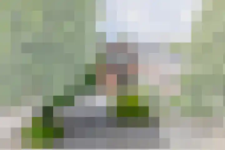 Arnoldus Janssenstraat 8 Steyl thumbnail 33