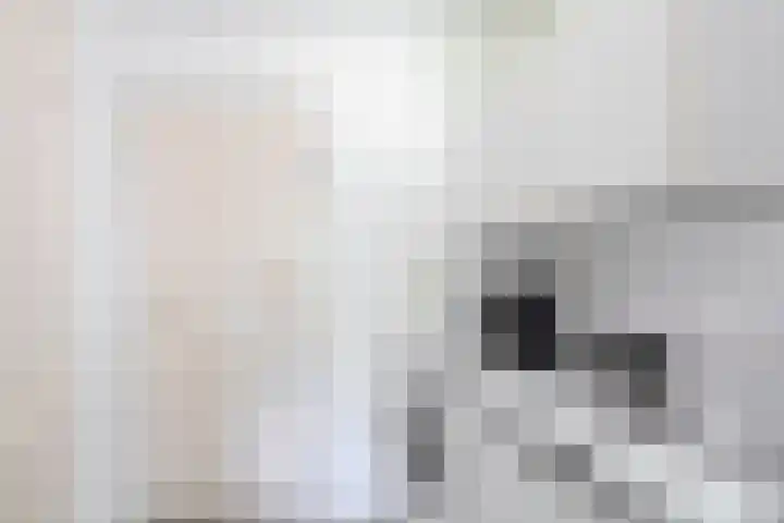 Arnoldus Janssenstraat 8 Steyl thumbnail 8