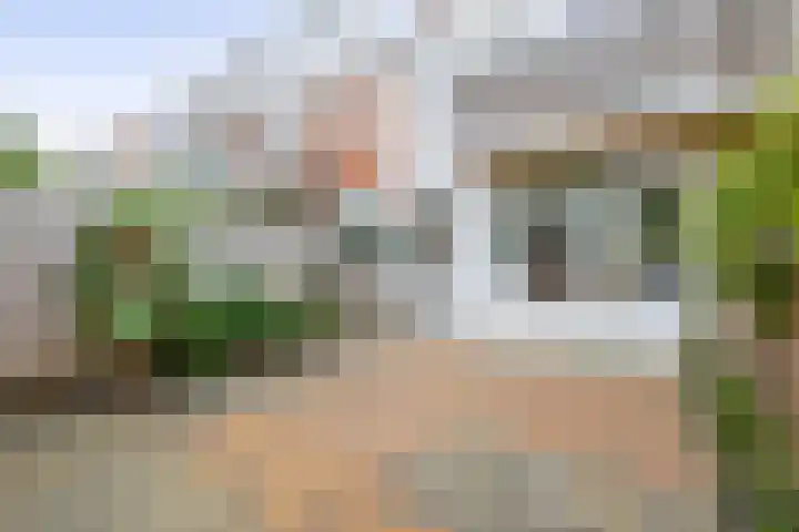 Arnoldus Rotterdamstraat 15 Utrecht thumbnail 25