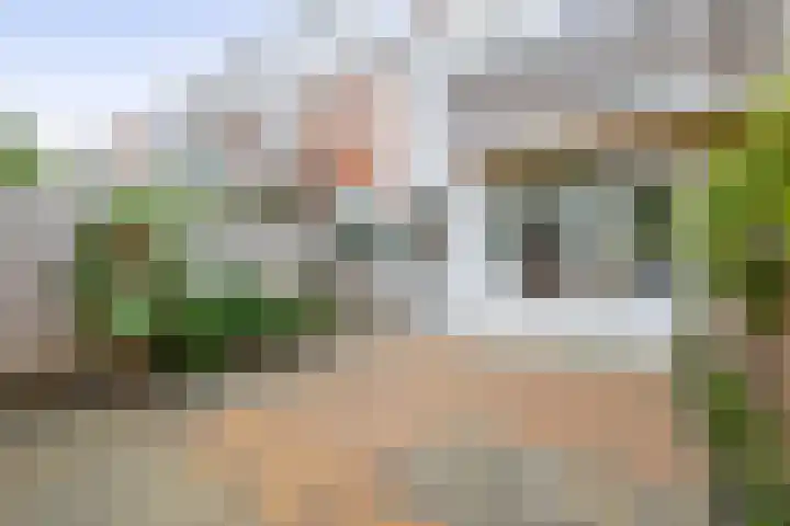 Arnoldus Rotterdamstraat 15 Utrecht thumbnail 4