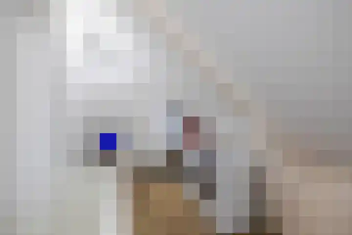 Arnoldus Rotterdamstraat 15 Utrecht thumbnail 40