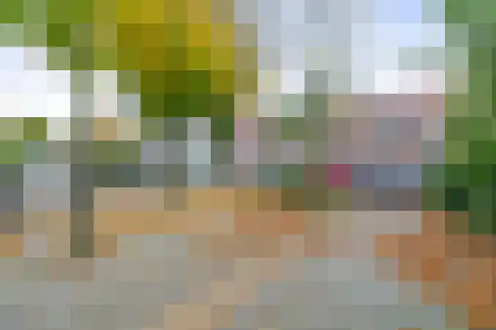 Arnoldus Rotterdamstraat 15 Utrecht thumbnail 47