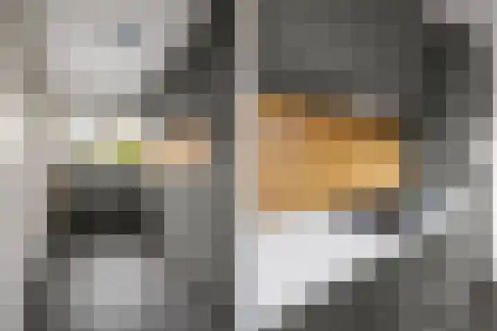 Arnoldus Rotterdamstraat 18 Utrecht thumbnail 11