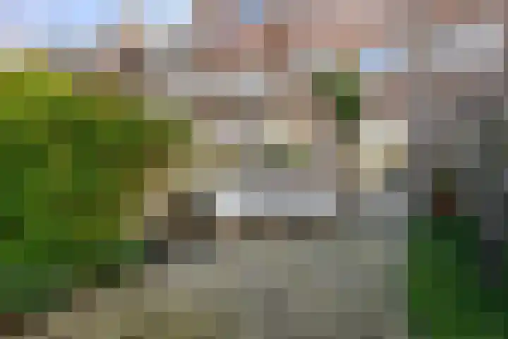 Arnoldus Rotterdamstraat 18 Utrecht thumbnail 25
