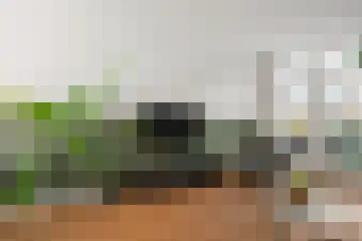 Arnoldus Rotterdamstraat 18 Utrecht thumbnail 6