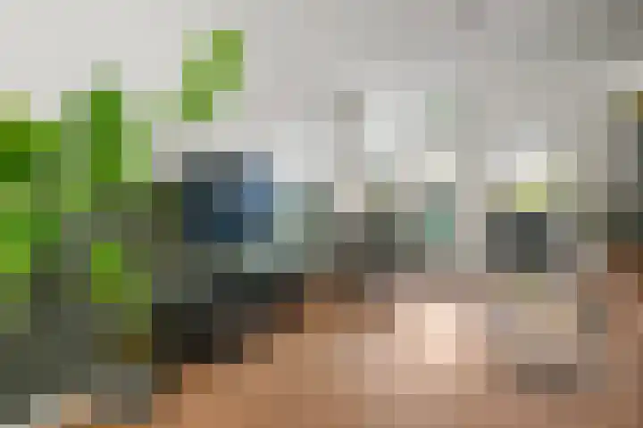 Arnoldus Rotterdamstraat 18 Utrecht thumbnail 8