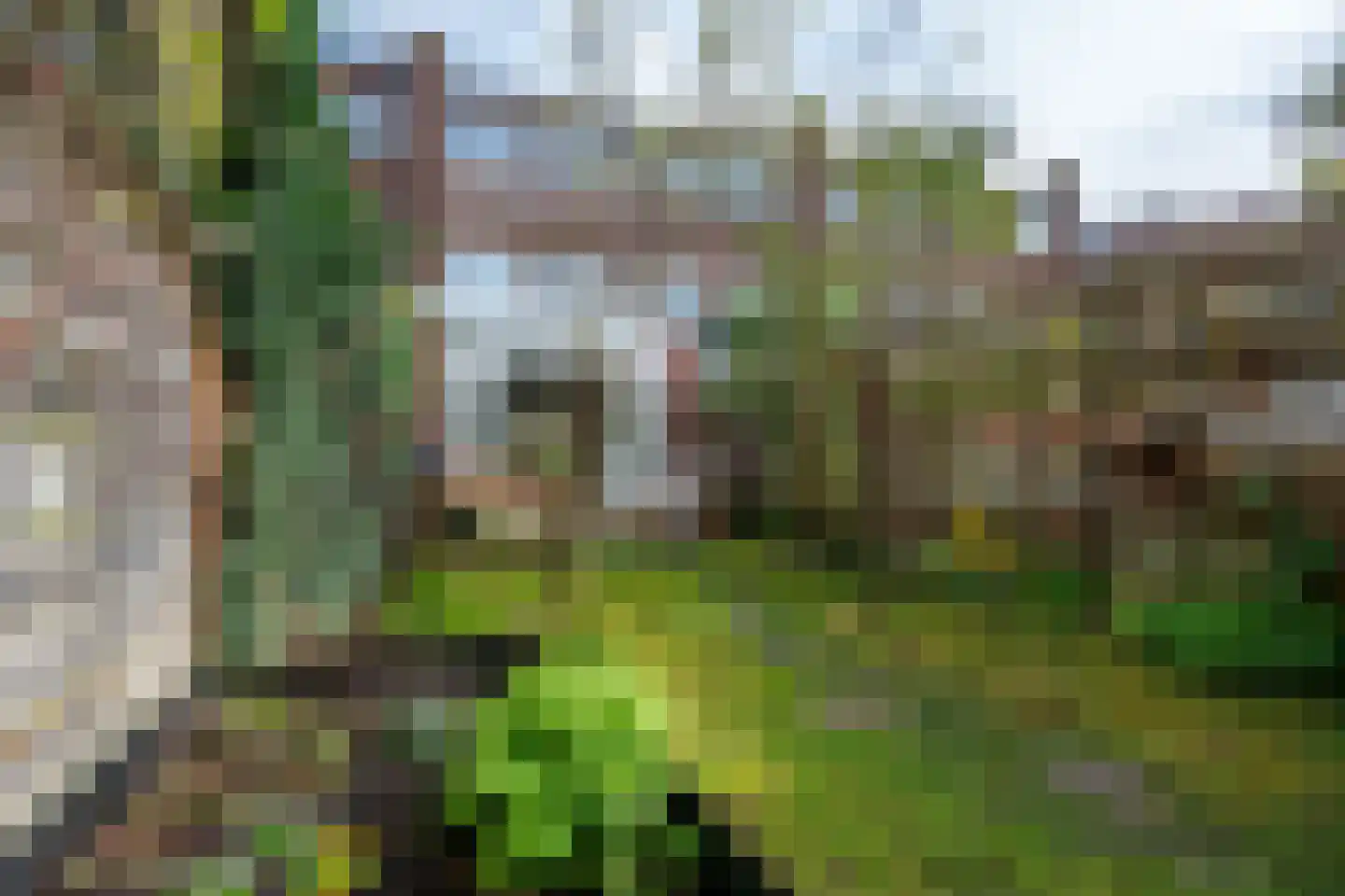 Arnoldus Rotterdamstraat 30 Utrecht thumbnail 19