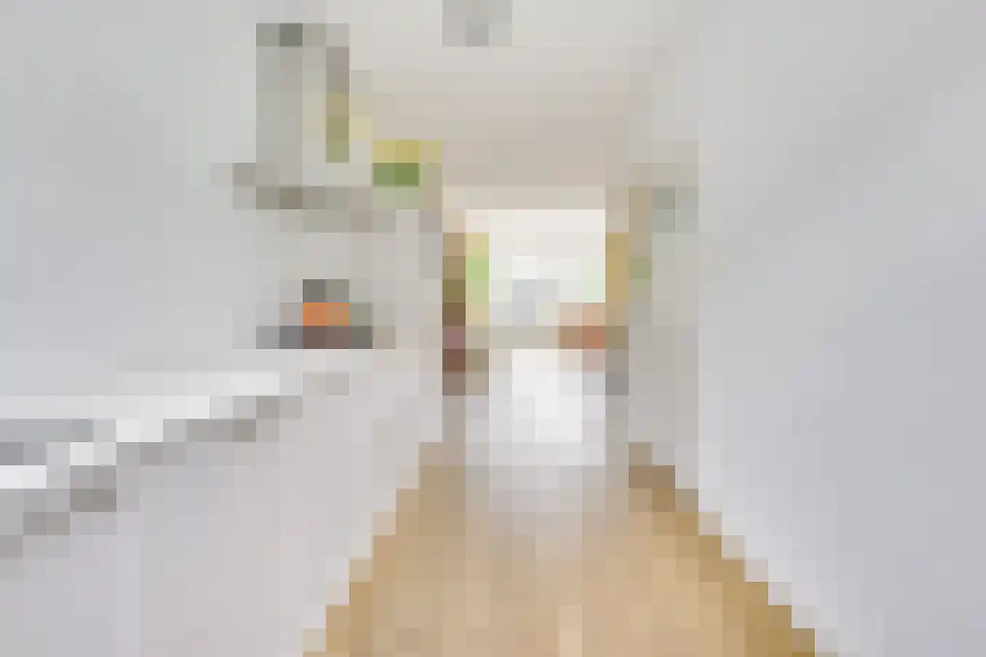 Arnoldus Rotterdamstraat 30 Utrecht thumbnail 9
