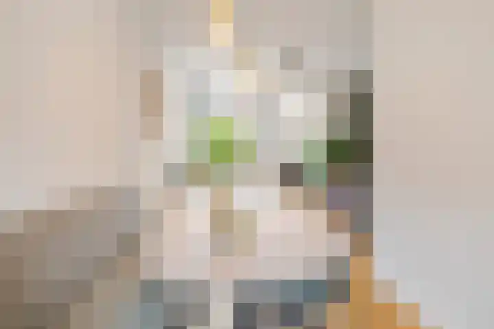 Arnoldus Rotterdamstraat 6 Utrecht thumbnail 10