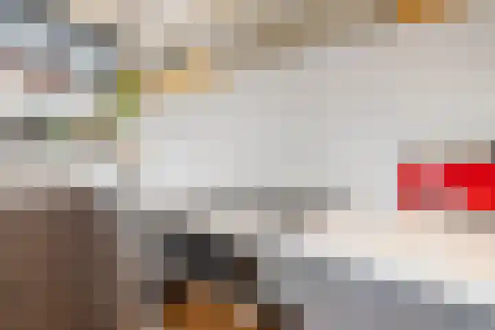 Arnoldus Rotterdamstraat 6 Utrecht thumbnail 12