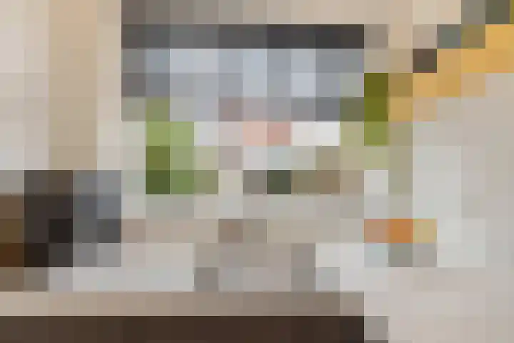 Arnoldus Rotterdamstraat 6 Utrecht thumbnail 13