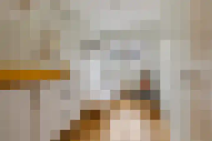 Arnoldus Rotterdamstraat 6 Utrecht thumbnail 22