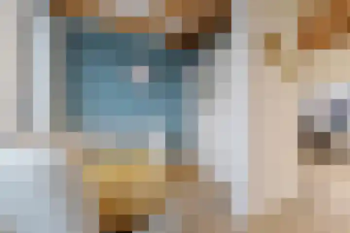Arnoldus Rotterdamstraat 6 Utrecht thumbnail 25