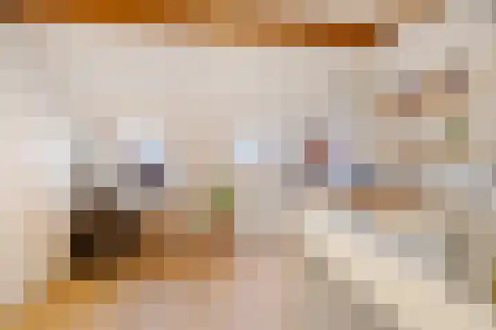 Arnoldus Rotterdamstraat 6 Utrecht thumbnail 27