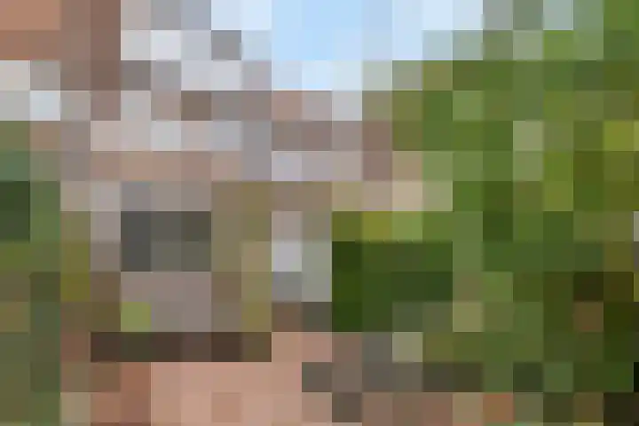 Arnoldus Rotterdamstraat 6 Utrecht thumbnail 29
