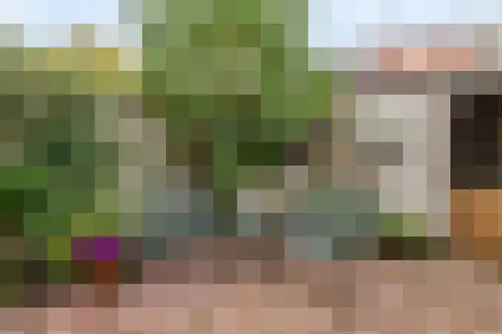 Arnoldus Rotterdamstraat 6 Utrecht thumbnail 32