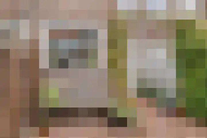 Arnoldus Rotterdamstraat 6 Utrecht thumbnail 33