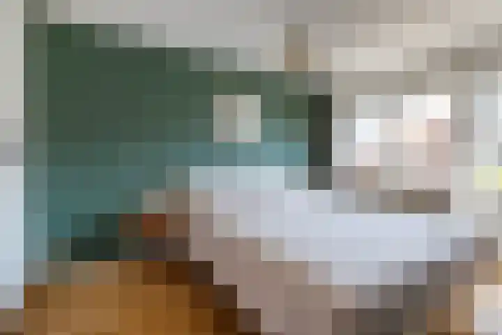 Arnoldus Rotterdamstraat 7 Utrecht thumbnail 13