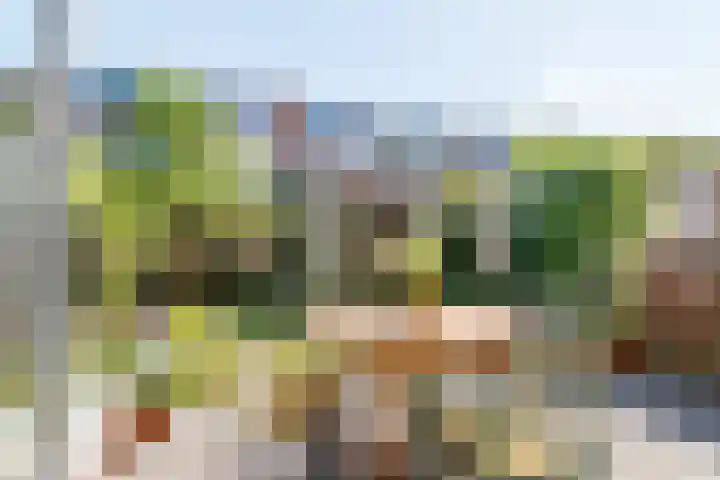 Arnoldus Rotterdamstraat 7 Utrecht thumbnail 8