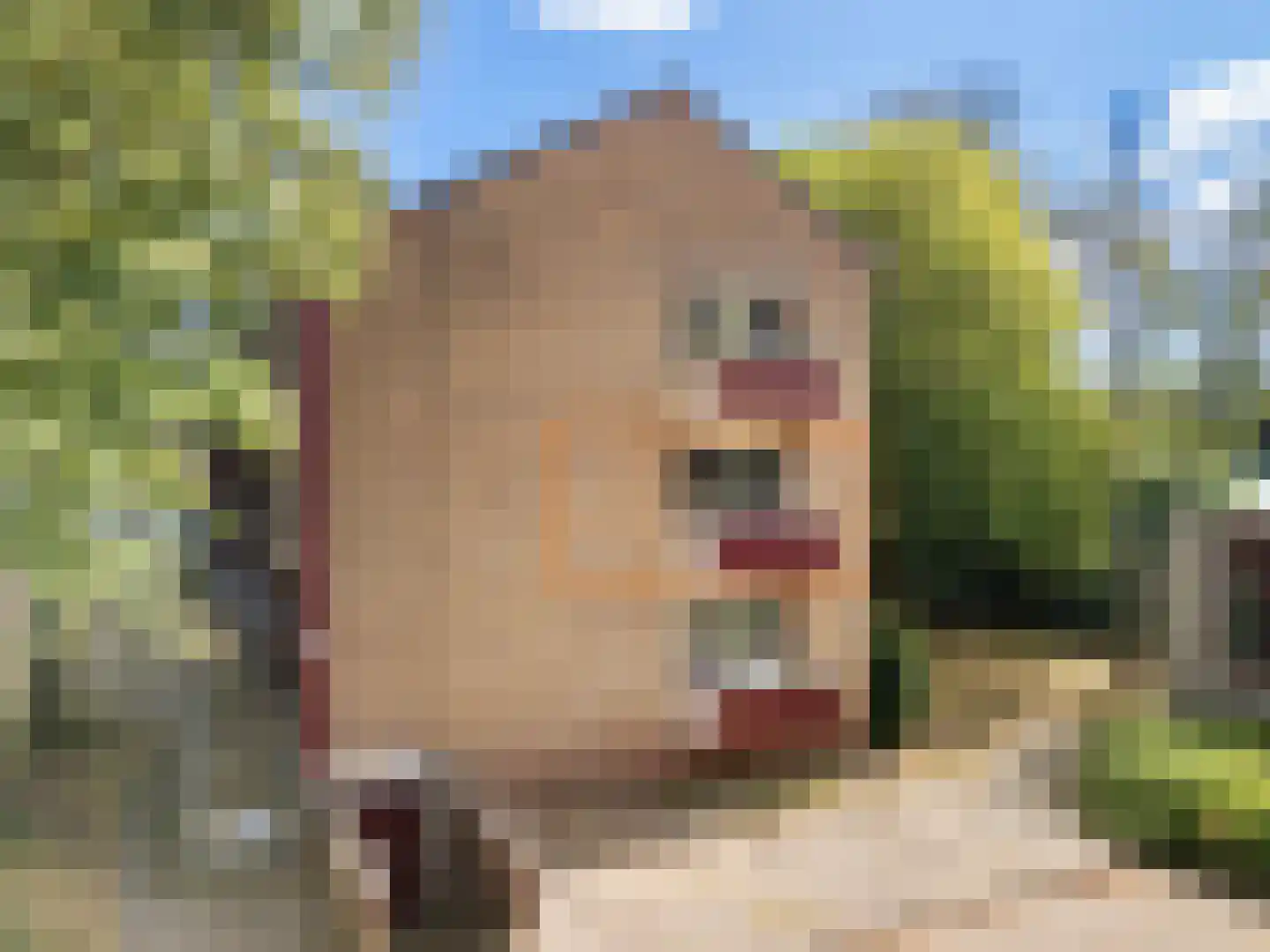 Arnoldus Stramroodlaan 15 Zeist thumbnail 10