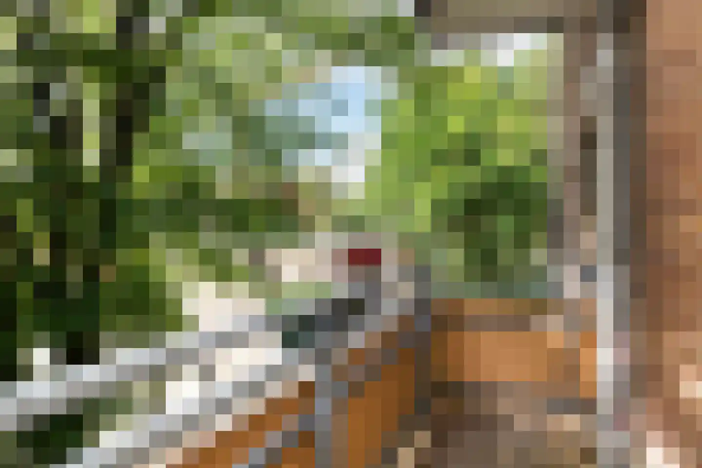Arnoldus Stramroodlaan 15 Zeist thumbnail 18