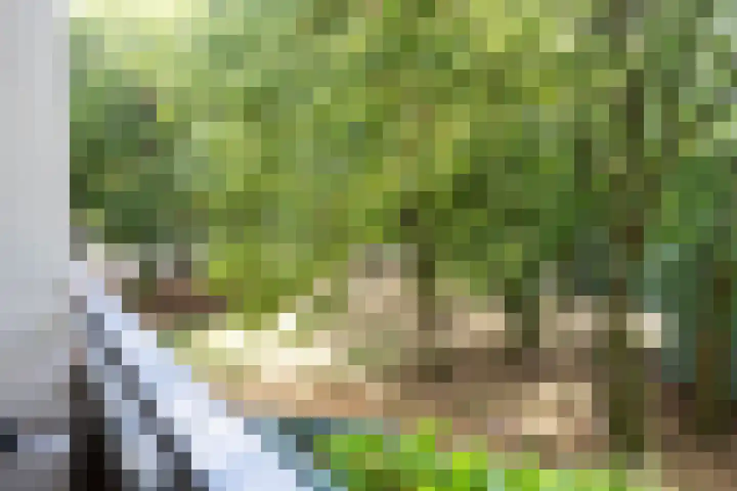 Arnoldus Stramroodlaan 15 Zeist thumbnail 19