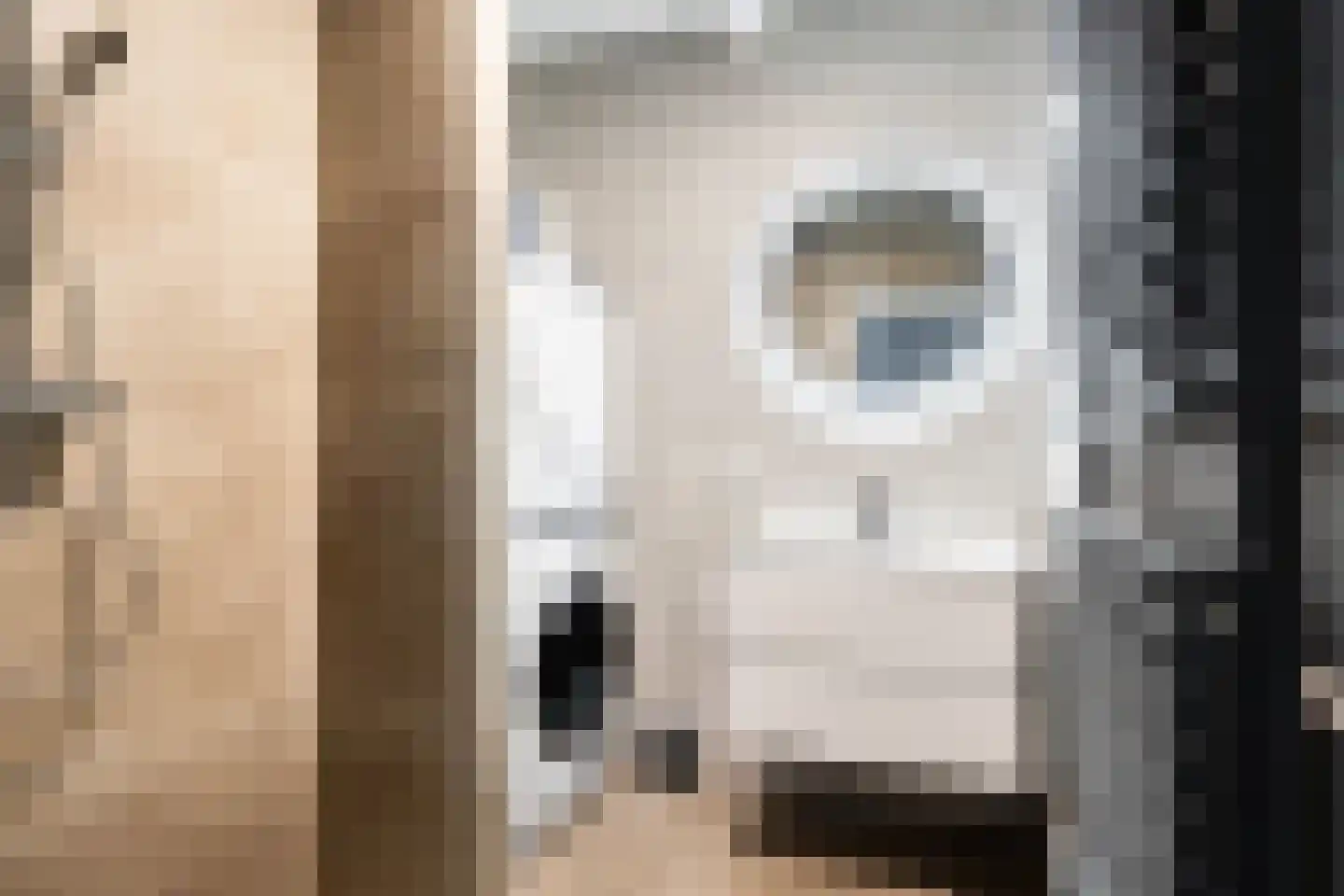 Arnoldus Stramroodlaan 15 Zeist thumbnail 20