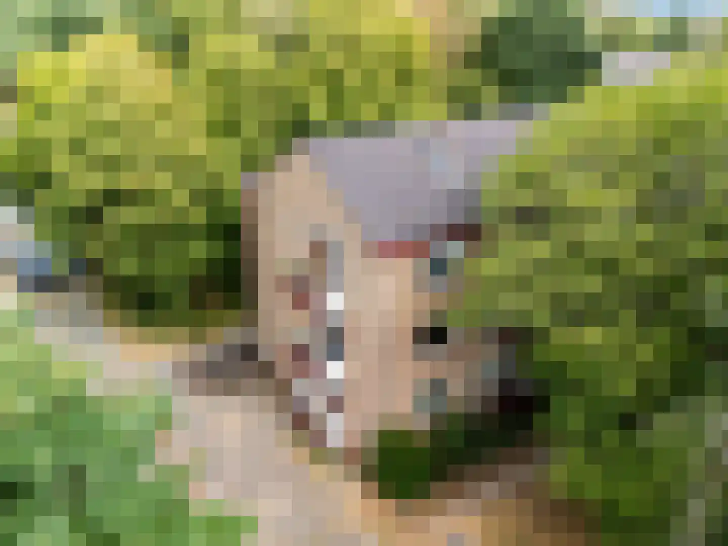Arnoldus Stramroodlaan 15 Zeist thumbnail 28