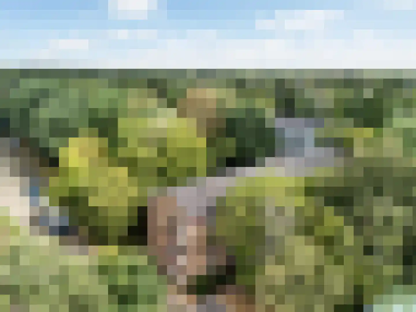 Arnoldus Stramroodlaan 15 Zeist thumbnail 29