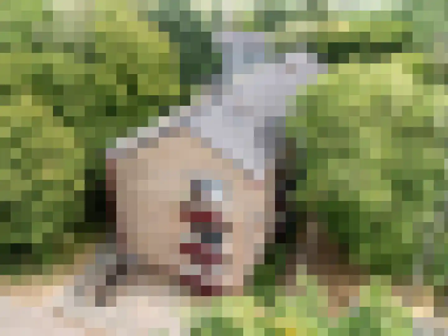 Arnoldus Stramroodlaan 15 Zeist thumbnail 30